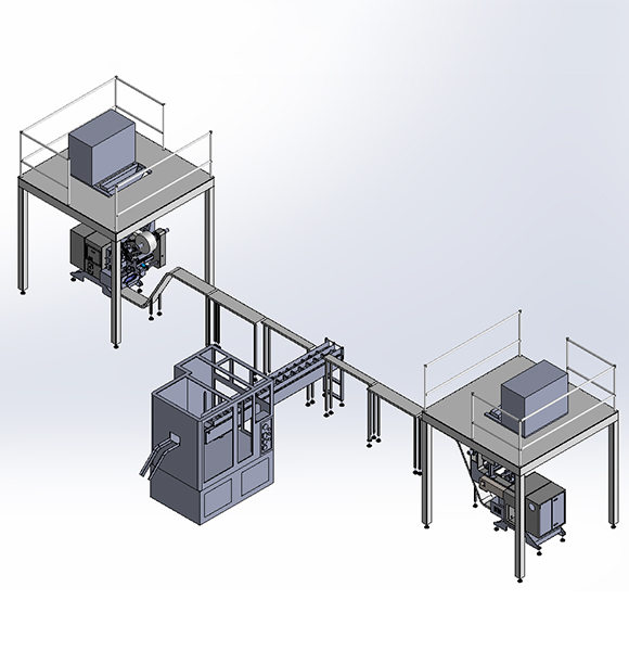 TD-200ESCR + SFS-M100 Automatic Mushroom Packing Line